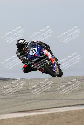 media/Feb-21-2025-Lets Ride (Fri) [[f483f33afd]]/Race Group/11am (Outside Grapevine)/